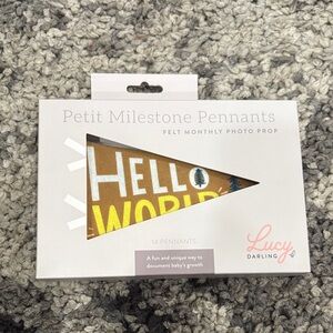 !! 3/$15 !! 
Lucy Darling Petit Milestone Pennant Month Flags little camper